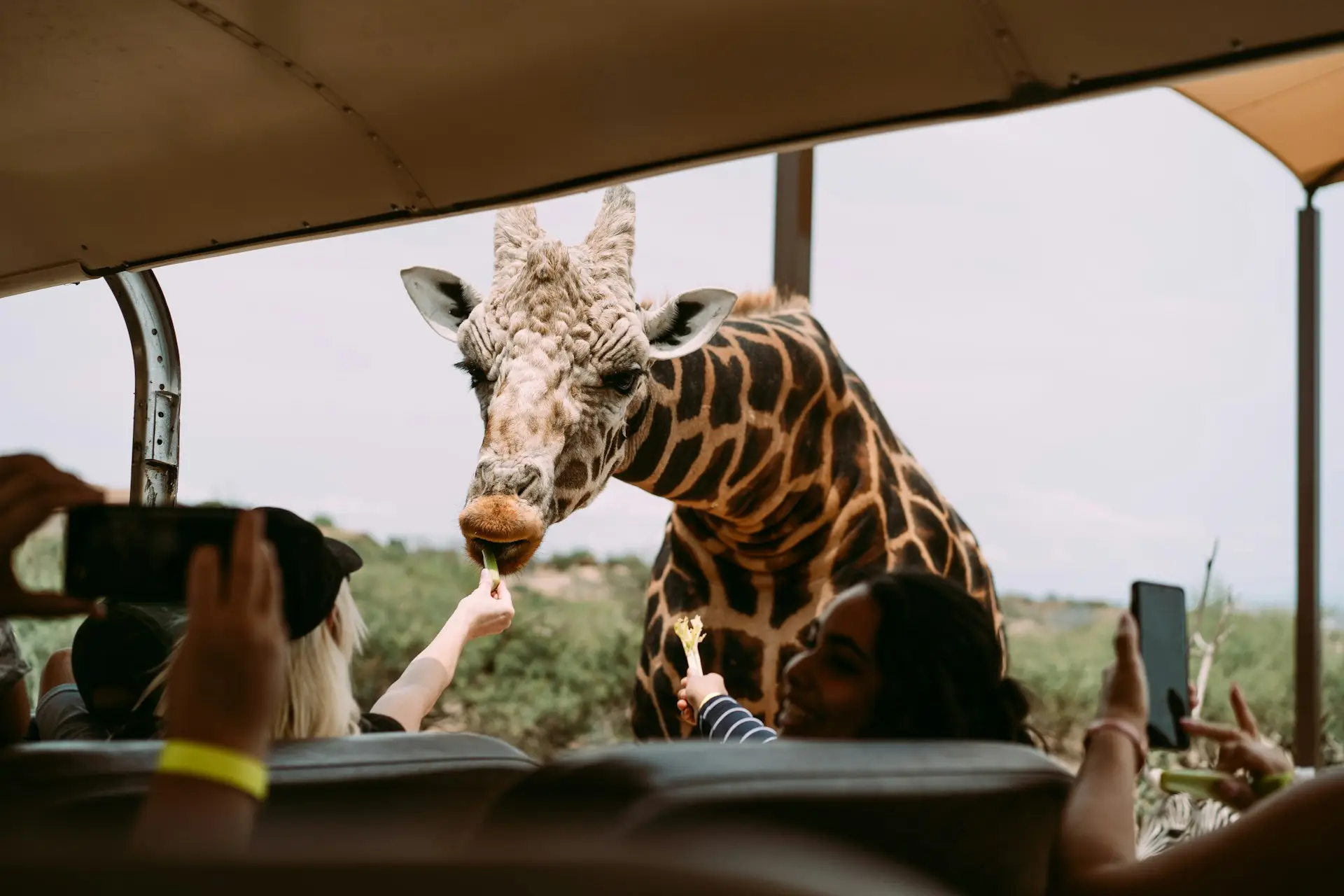 sightseeing in south africa