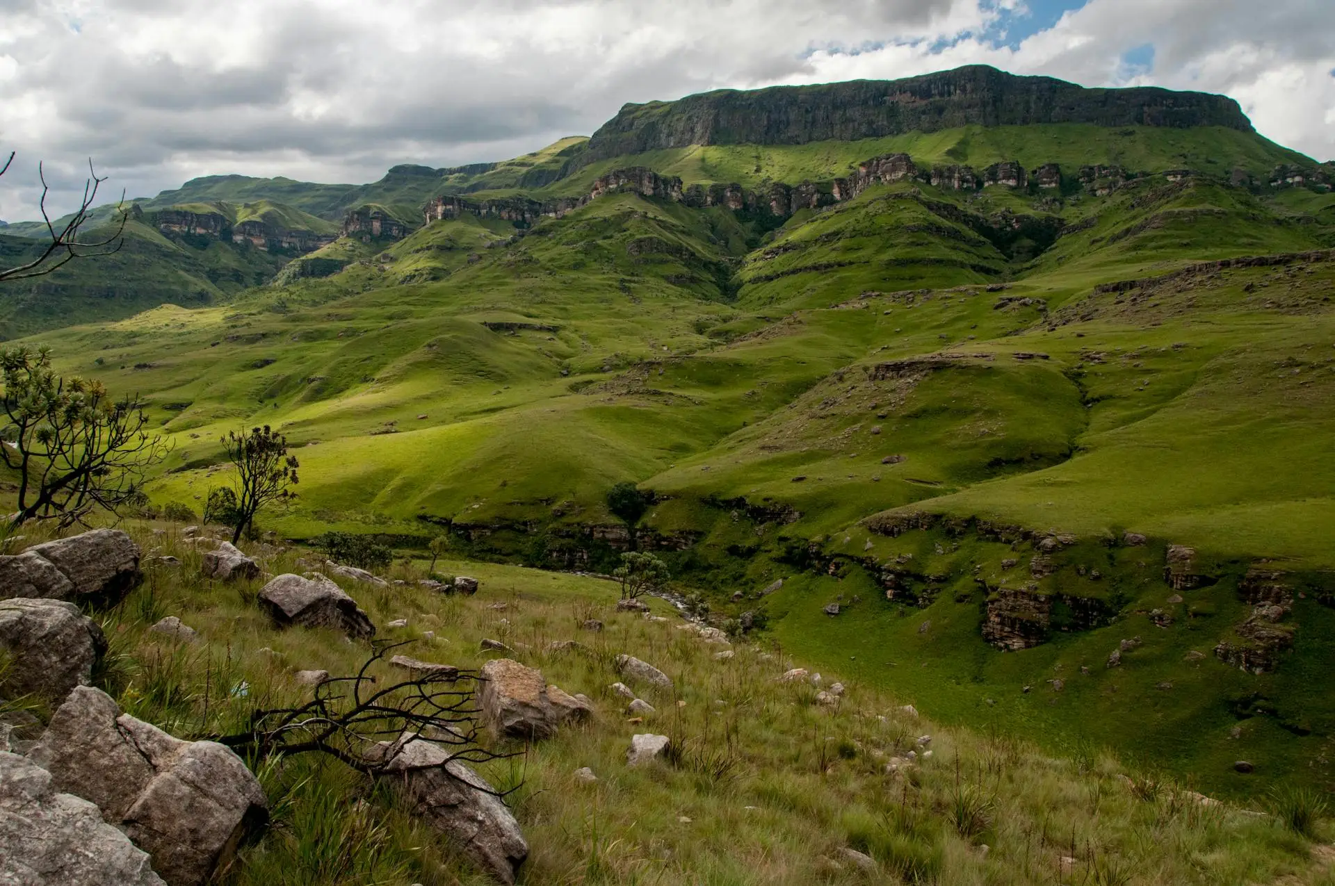 group tours South Africa